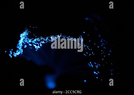 Particelle astratte blu e linee con bokeh e sfocatura su sfondo scuro Foto Stock