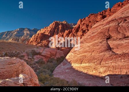 Turisti a Aztec affioramento in pietra arenaria a Calico Hills, tramonto, Red Rock Canyon area nel deserto di Mojave vicino a Las Vegas, Nevada, Stati Uniti Foto Stock