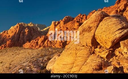 Affioramento in arenaria azteca a Calico Hills, tramonto nella zona del Red Rock Canyon nel deserto di Mojave vicino a Las Vegas, Nevada, USA Foto Stock