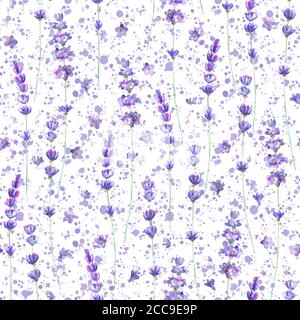 Fiori di lavanda e spruzzi viola acquerello motivo senza cuciture su sfondo bianco. Acquerello disegno mano texture botanica illustrazione. Stampa per Foto Stock