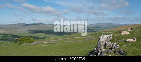 Vista panoramica di Inglebrough, Simon Fell, Park Fell e Whernside dalle pendici di Pen-y-Ghent nelle valli dello Yorkshire Foto Stock