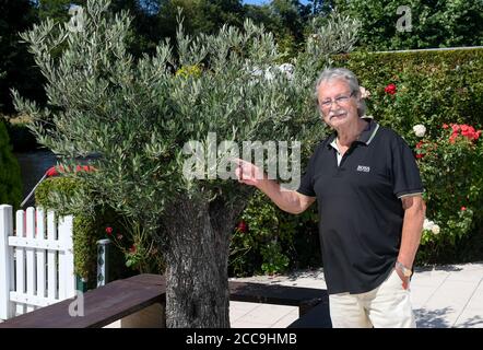 Berlino, Germania. 12 agosto 2020. Burkhard Lasch, compositore, produttore e cantautore, è in piedi presso un olivo nel giardino della sua proprietà a Köpenick. Celebra il suo 80° compleanno il 23.08.2020. Lasch scrisse il titolo di successo 'Alt wie ein Baum' per i Puhdys, 'Jugendliebe' per Ute Freudenberg e quasi 200 titoli noti per band e cantanti famosi. (A ''Old as a tree' - il cantautore della GDR Burkhard Lasch compie 80 anni) Credit: Jens Kalaene/dpa-Zentralbild/ZB/dpa/Alamy Live News Foto Stock