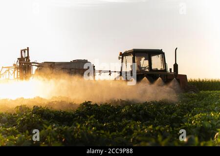Il trattore la spruzzatura di pesticidi in campo vegetale con spruzzatore a molla Foto Stock