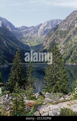 Lago di Lauvitel e pino sotto le pendici del Parc Des Ecrins Foto Stock