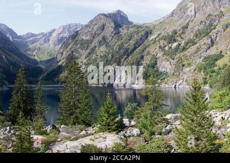 Lago di Lauvitel e pino sotto le pendici del Parc Des Ecrins Foto Stock