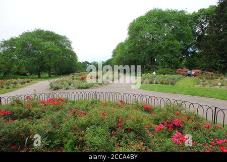 COLUMBUS, STATI UNITI - 02 agosto 2017: The Park of Roses a Columbus, Ohio Foto Stock