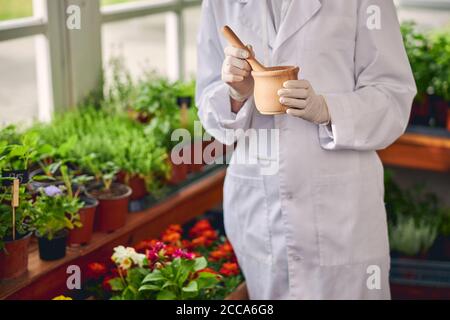 Botanico in guanti di lattice macinando sostanze erboristiche Foto Stock