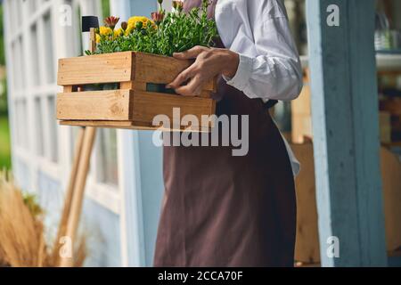 Botanica femminile professionista con gazanie e marigolds Foto Stock