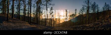 Atardecer en el Teide Foto Stock