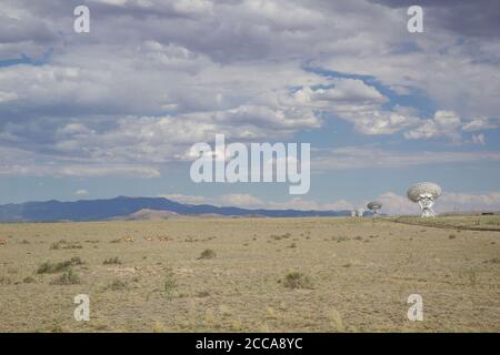 Pronghorni che attraversano un campo di fronte a radiotelescopi che stanno osservando l'universo presso il grande array, il New Mexico Foto Stock