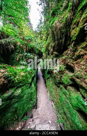 Escursioni nella valle di Schwedenloecher nel Parco Nazionale di Bastei, Saxon Svizzera, sopra il fiume Elba, nelle montagne di arenaria Elbe, Germania. Foto Stock
