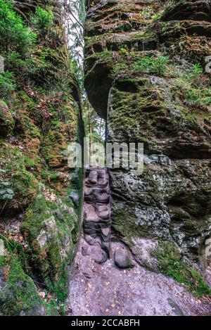 Escursioni nella valle di Schwedenloecher nel Parco Nazionale di Bastei, Saxon Svizzera, sopra il fiume Elba, nelle montagne di arenaria Elbe, Germania. Foto Stock