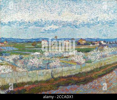 Alberi di pesca in fiore. Museo: Courtauld Institute of Art, Londra. AUTORE: VINCENT VAN GOGH. Foto Stock