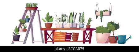 Piante da serra, orangerie o oggetti interni del negozio floristico, rastrelliera da giardino con fiori in vaso, tavolo in legno, scatole e scaffale pensile, annaffiatoio e pentola con albero verde. Illustrazione vettoriale cartoon Illustrazione Vettoriale