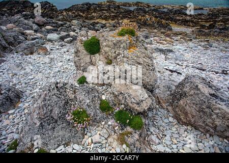 Una passeggiata lungo la costa ad ovest di Balnakeil Bay vicino Durness per esaminare le rocce carbonatiche del Durness Group. Foto Stock