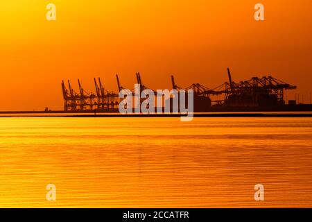 Gru a portale presso il terminal dei container nel porto marittimo di le Havre silhouette contro il tramonto, Senna Marittima, Francia Foto Stock