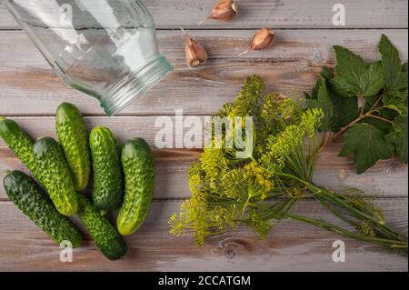 Cetrioli freschi e vasetto di vetro, aglio, aneto, foglie di ribes su fondo ligneo, preparazione per inscatolamento Foto Stock