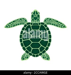 Illustrazione vettoriale delle tartarughe marine. Isolato su sfondo bianco Illustrazione Vettoriale