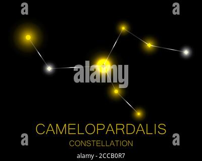 Costellazione di Camelopardalis. Stelle gialle luminose nel cielo notturno. Un grappolo di stelle nello spazio profondo, l'universo. Illustrazione vettoriale Illustrazione Vettoriale