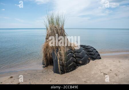 Tre grandi pneumatici sepolti sul lago Michigan Water's bordo sormontato con una duna dopo tempesta a Bridgman, Michigan Foto Stock