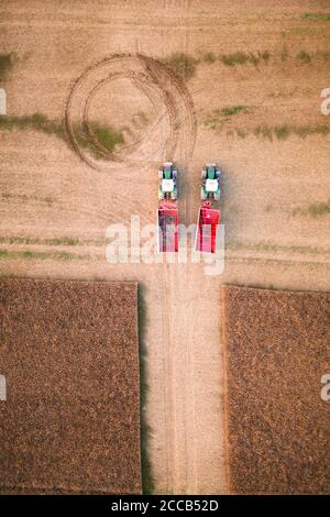 Due trattori rossi in un campo di grano durante la mietitura in attesa della mietitrebbia. Vista dall'alto dell'antenna Foto Stock