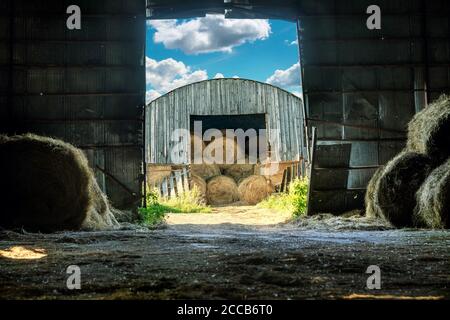 Vista delle balle di fieno immagazzinate in un vecchio fienile di legno dall'altro fienile Foto Stock