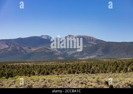 Vista soleggiata del bellissimo Wheeler Peak al Great Basin National Park, Nevada Foto Stock