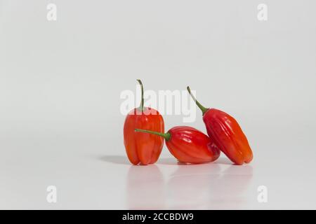 Ancora vita di ingredienti della cucina peruviana. Limousine chili. Limousine al pepe. Peperoncino forte che viene utilizzato in cucina peruviana come ceviche (cebiche). Foto Stock