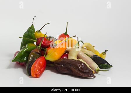 Ancora vita di ingredienti della cucina peruviana. Miscela di peperoncino Limo. Limousine chili. Limousine al pepe. Foto Stock