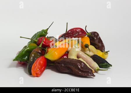 Ancora vita di ingredienti della cucina peruviana. Miscela di peperoncino Limo. Limousine chili. Limousine al pepe. Foto Stock