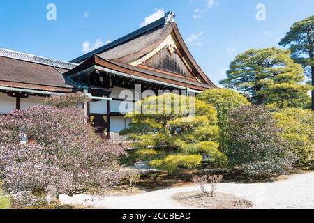 Kyoto, Giappone - Palazzo Imperiale di Kyoto (Kyoto Gosho) a Kyoto, Giappone, ex palazzo dell'Imperatore del Giappone. Foto Stock