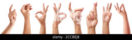 Collage con le mani femminili che mostrano diversi gesti su sfondo bianco, isolato Foto Stock