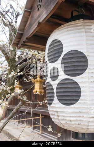 Lanterna al Santuario di Kitano Tenmangu a Kyoto, Giappone. Il santuario fu costruito durante il 947 d.C. dall'imperatore del tempo in onore di Sugawara no Michizane. Foto Stock