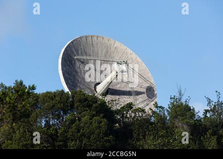 Un radiotelescopio più piccolo all'Osservatorio Arecibo di Porto Rico. Foto Stock