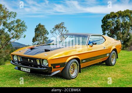 1973 Ford Mach 1 Mustang. Foto Stock