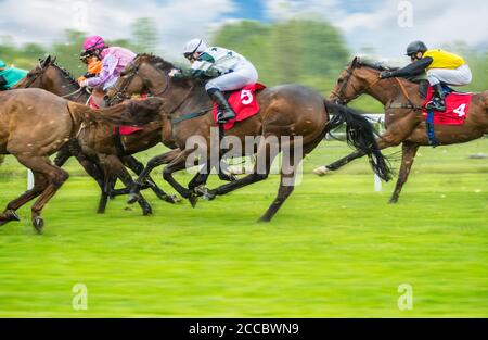 Corse di cavalli in derby all'aperto con jockeys in arrivo al traguardo. Sport all'aperto e competizione. Foto Stock