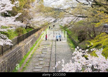 Fioritura dei ciliegi lungo il sito di Keage Incline a Kyoto, Giappone. Keage Incline è uno dei posti migliori per godersi la stagione della fioritura dei ciliegi a Kyoto. Foto Stock