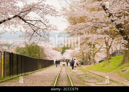 Fioritura dei ciliegi lungo il sito di Keage Incline a Kyoto, Giappone. Keage Incline è uno dei posti migliori per godersi la stagione della fioritura dei ciliegi a Kyoto. Foto Stock