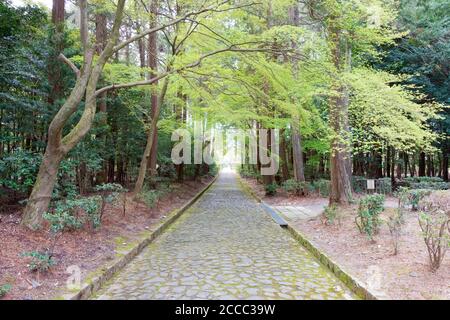 Kyoto, Giappone - approccio al Mausoleo dell'Imperatore Tenji a Yamashina, Kyoto, Giappone. L'imperatore Tenji (626-672) fu il 38° imperatore del Giappone. Foto Stock