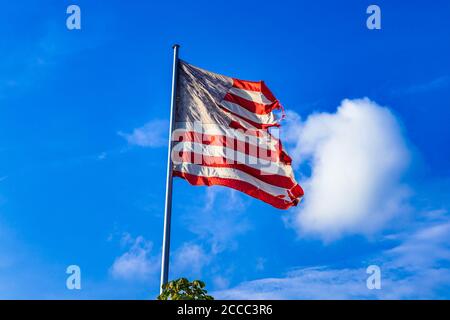 08.08.2013, Berlino, Stelle e strisce, una bandiera degli Stati Uniti d'America che sventola nel vento in una versione estremamente frantumata come simbolo di uno stato disperato degli Stati Uniti contro un cielo blu e leggermente nuvoloso. La bandiera mostra sette strisce rosse e sei strisce bianche, che stanno per i 13 stati fondatori, e un campo bandiera blu nell'angolo in alto a sinistra, le cui attualmente 50 stelle bianche simboleggiano i 50 stati degli Stati Uniti. | utilizzo in tutto il mondo Foto Stock