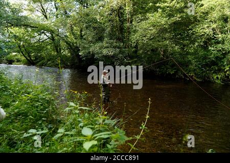 La pesca a mosca sul fiume Foto Stock