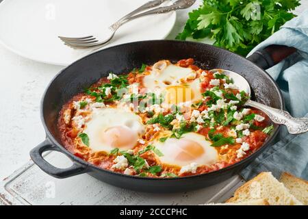 Shakshouka, uova in camicia in salsa di pomodori, olio d'oliva. Cucina mediterranea. Foto Stock