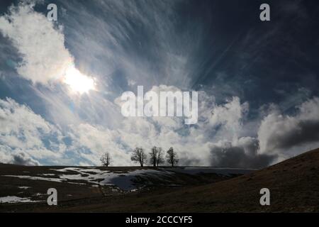 Vista da Hofsgrund alla Foresta Nera in Germania Foto Stock