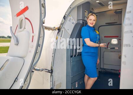 Amichevole stewardess in piedi nella porta dell'aereo Foto Stock