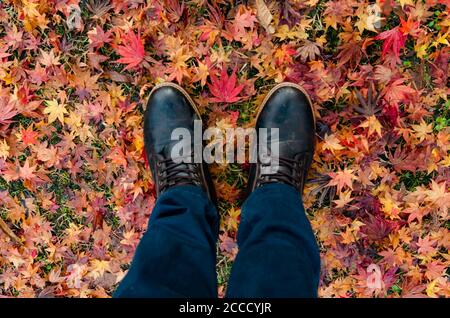 Immagine concettuale delle gambe in stivali sulle foglie autunnali. Piedi scarpe camminare nella natura Foto Stock