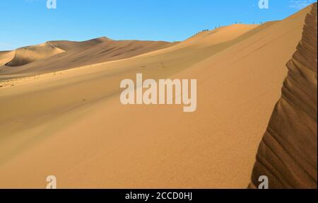 GRANDI DUNE DI SABBIA DURANTE IL SAFARI NEL DESERTO DEL NAMIB NAMIBIA Foto Stock
