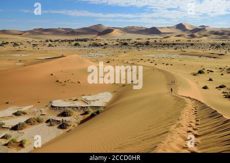 GRANDI DUNE DI SABBIA DURANTE IL SAFARI NEL DESERTO DEL NAMIB NAMIBIA Foto Stock