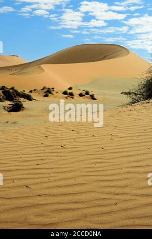 GRANDI DUNE DI SABBIA DURANTE IL SAFARI NEL DESERTO DEL NAMIB NAMIBIA Foto Stock