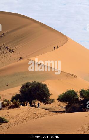 GRANDI DUNE DI SABBIA DURANTE IL SAFARI NEL DESERTO DEL NAMIB NAMIBIA Foto Stock