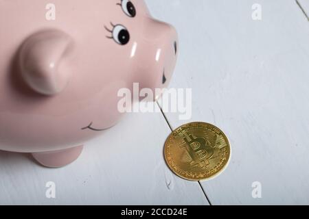 Colombi in forma di maiale. Bitcoin si trova nelle vicinanze. Foto Stock